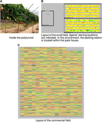 Multi-agent task allocation for harvest management